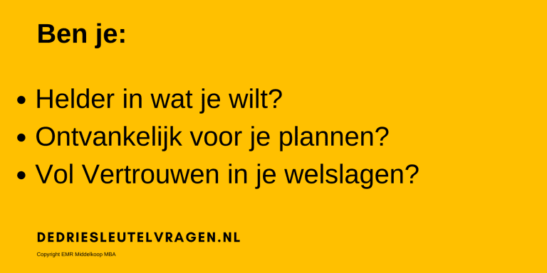 3 Sleutelvragen 2023 yellow