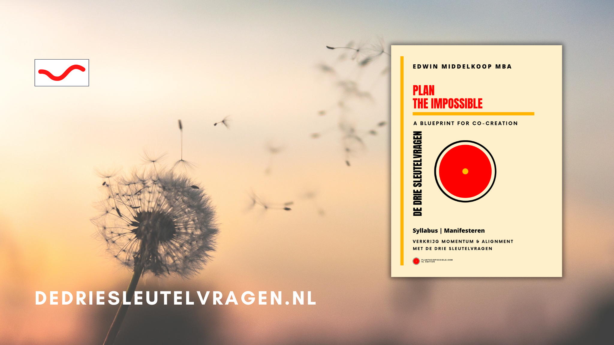 DDSV PTI SYLLABUS MANIFESTEREN JUNI 2025 DEF 1